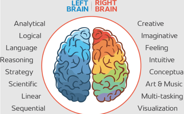 left vs. right brain balance